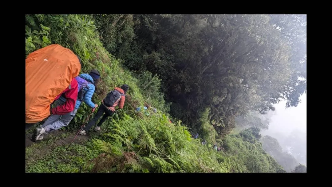 Mount Kilimanjaro trekking landscape